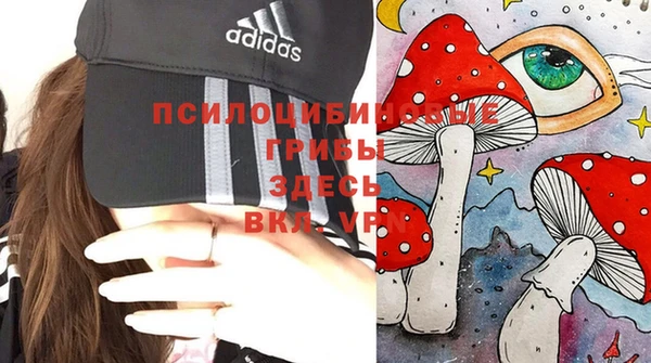 прущий лед Лагань