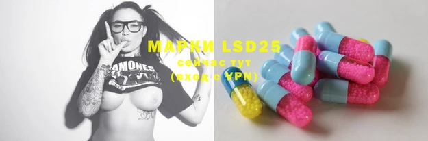 apvp Калининец