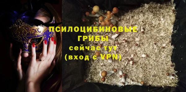 прущий лед Лагань