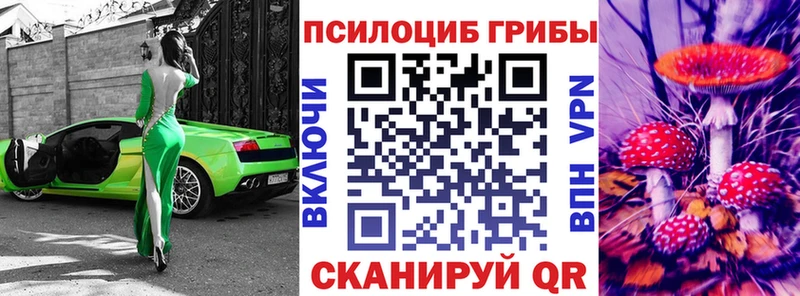 Псилоцибиновые грибы Psilocybe  kraken онион  Власиха 